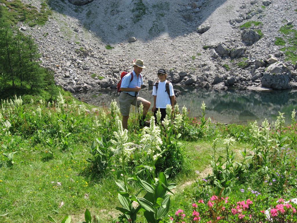 Bauernhofurlaub Sinnhubgut Altenmarkt im Pongau Eksteriør bilde