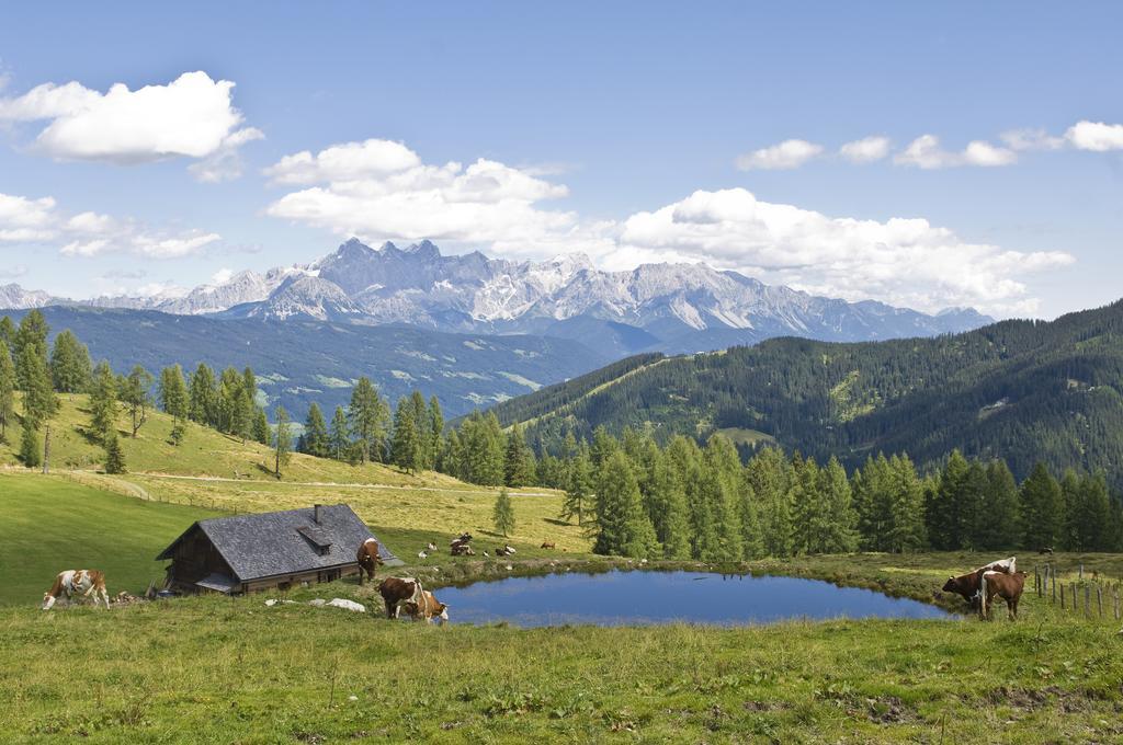 Bauernhofurlaub Sinnhubgut Altenmarkt im Pongau Eksteriør bilde