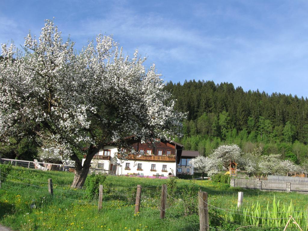 Bauernhofurlaub Sinnhubgut Altenmarkt im Pongau Eksteriør bilde
